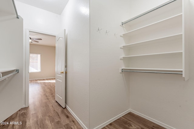 walk in closet with ceiling fan and light hardwood / wood-style flooring