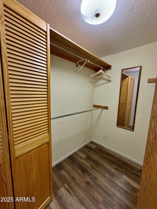 walk in closet with dark hardwood / wood-style flooring