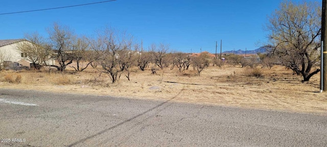 1783 Birmania Ct Unit 2, Rio Rico AZ, 85648 land for sale