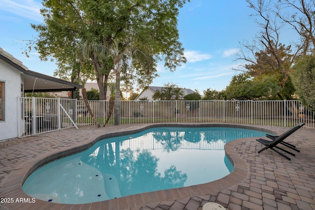 view of pool featuring a patio area