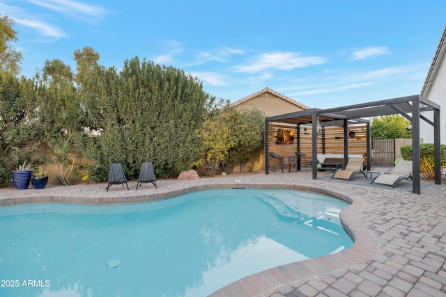 view of pool with a patio and an outdoor bar