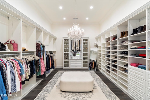 walk in closet with an inviting chandelier, visible vents, and dark wood-type flooring