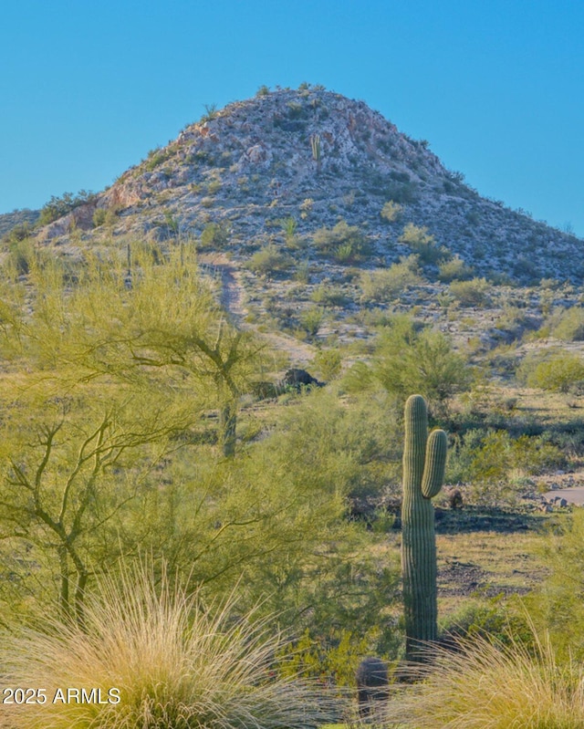 view of mountain feature