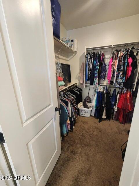 spacious closet with dark colored carpet