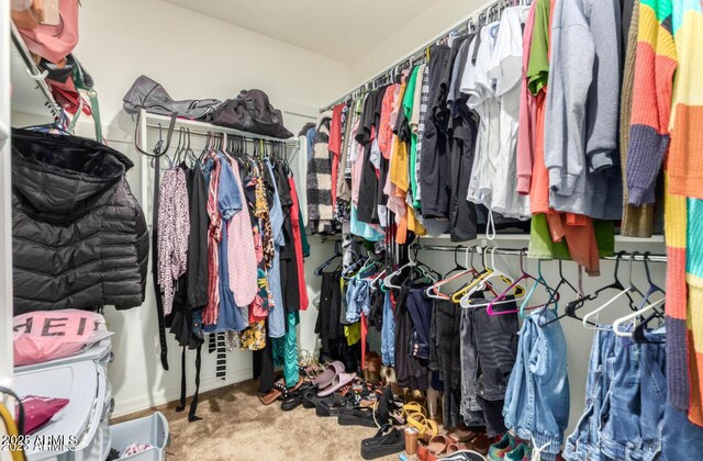 3914 S 58th Ln, Phoenix, AZ 85043 - spacious closet with carpet floors