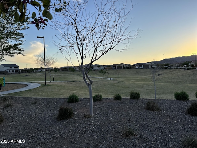 view of yard