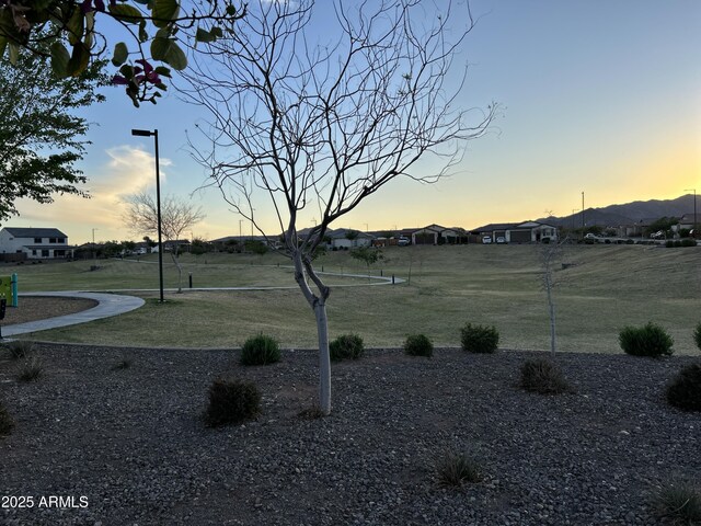 19864 W San Juan Ave, Litchfield Park, AZ 85340 - view of home's community featuring a yard