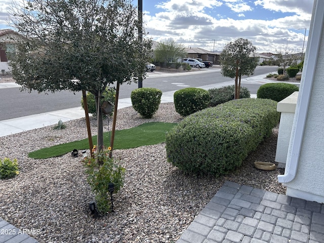 view of yard with a residential view