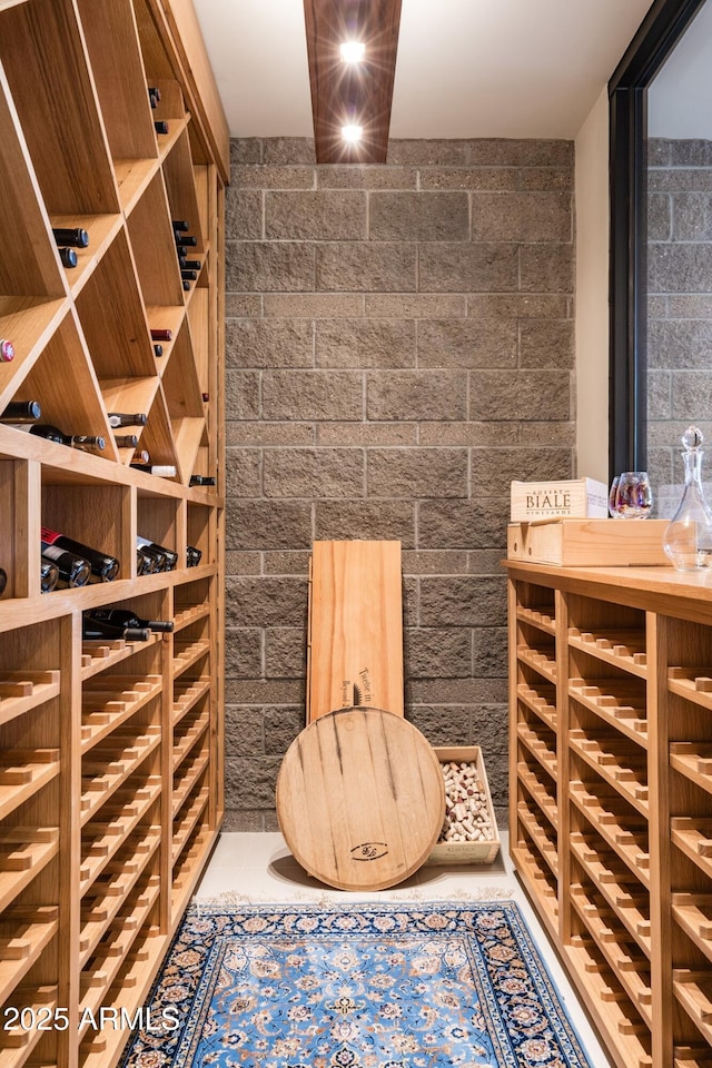 view of wine cellar