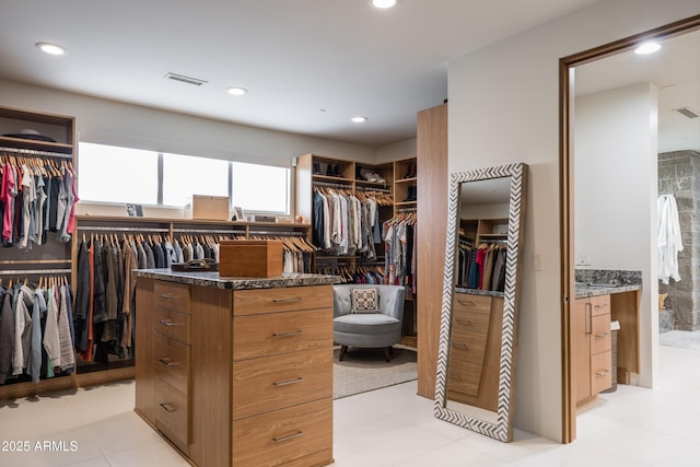 view of walk in closet