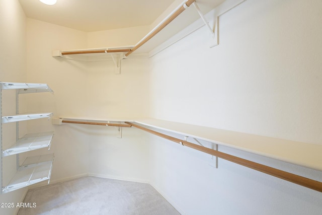 walk in closet featuring light colored carpet