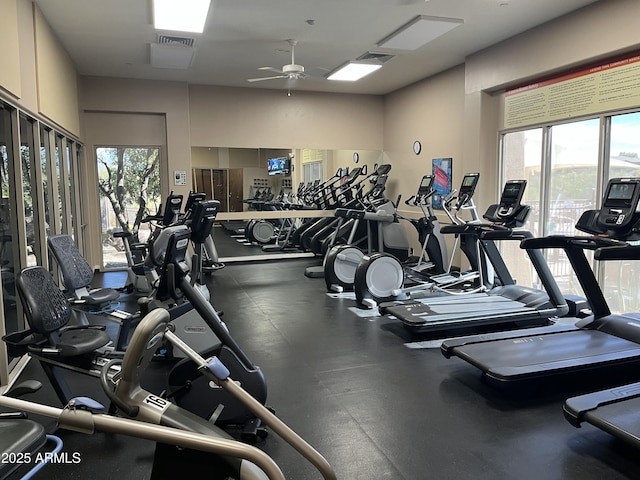 exercise room featuring ceiling fan