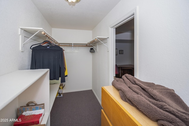 11430 E Manzanita Trl, Dewey, AZ 86327 - walk in closet with carpet