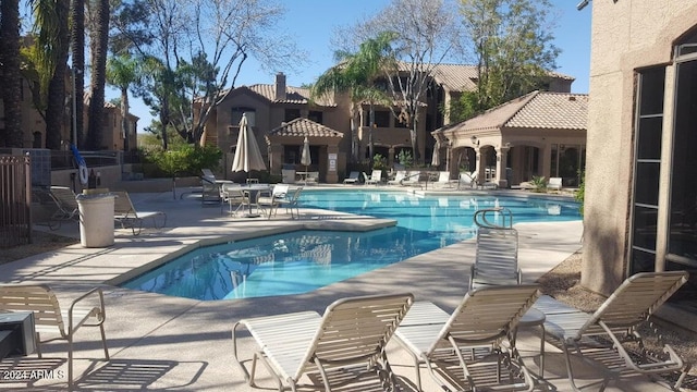 view of swimming pool with a patio