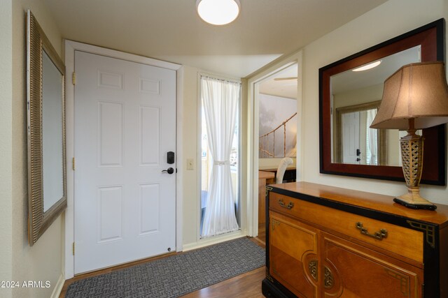 foyer with dark hardwood / wood-style flooring