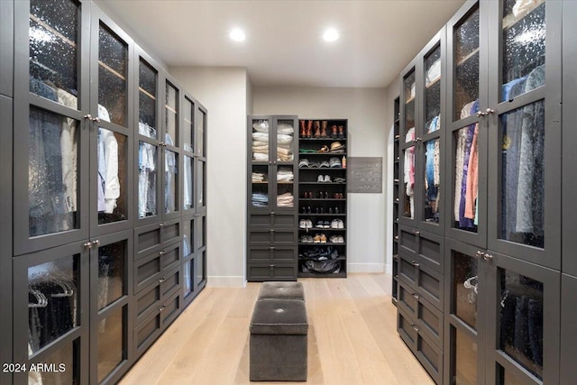 spacious closet featuring light wood-type flooring