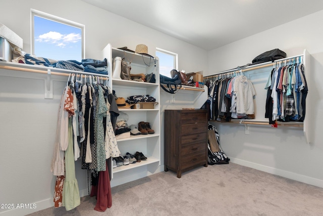 21134 W Minnezona Ave, Buckeye, AZ 85396 - walk in closet with carpet