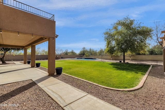 view of yard featuring a patio area