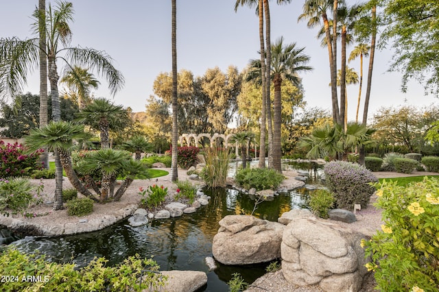 view of community with a garden pond