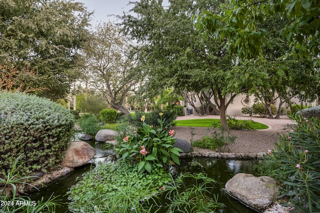 view of yard with a small pond