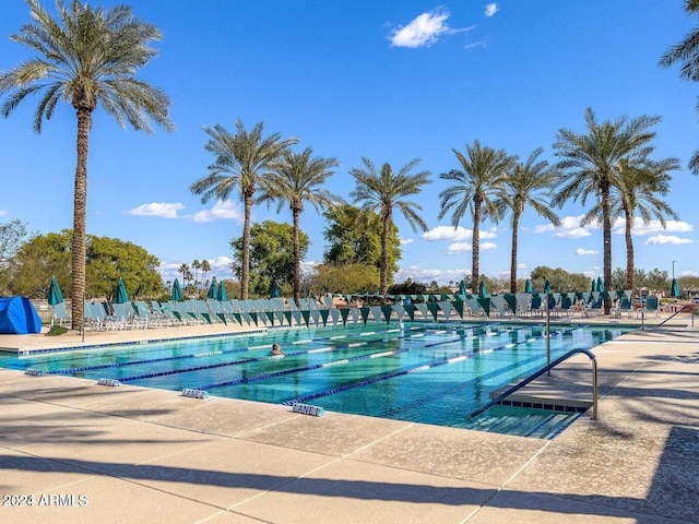 view of swimming pool