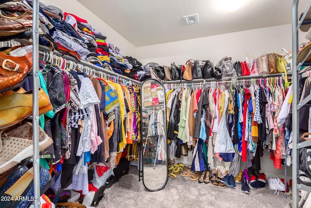 spacious closet featuring carpet