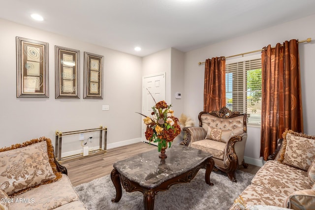 sitting room with wood-type flooring