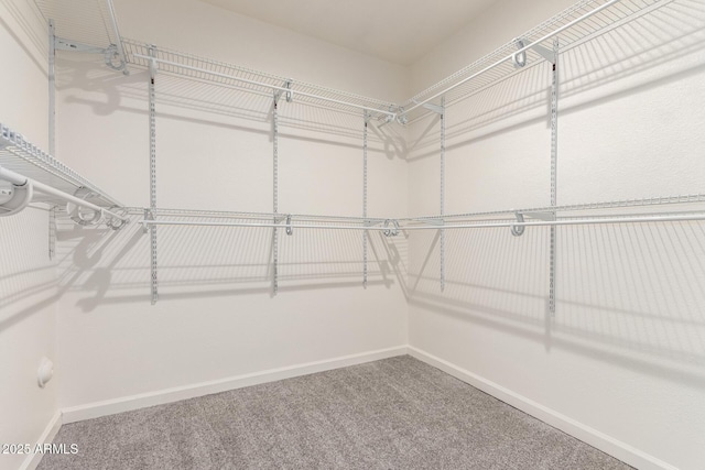 902 W Glendale Ave Unit 102, Phoenix, AZ 85021 - walk in closet with carpet flooring