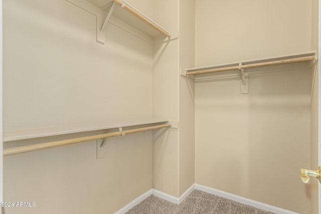 walk in closet featuring carpet flooring