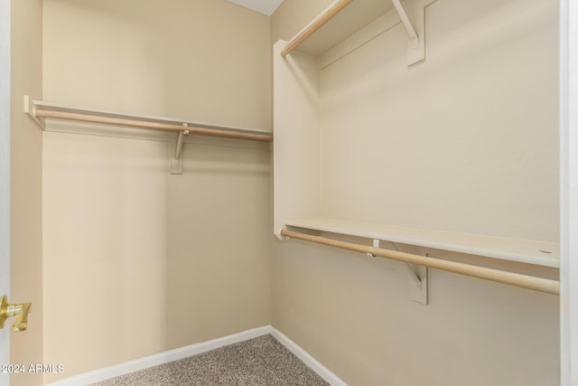 walk in closet with carpet