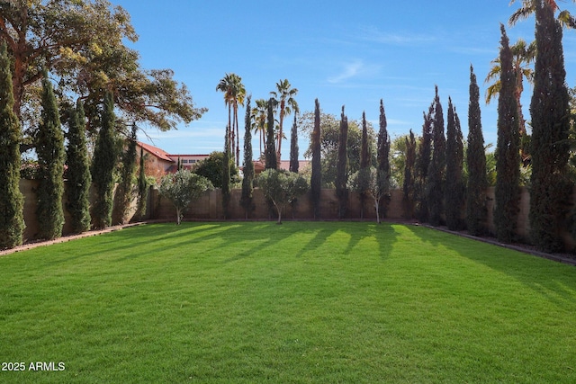 1207 W Sea Bass Ct, Gilbert, AZ 85233 - view of yard