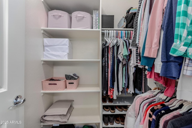 view of spacious closet