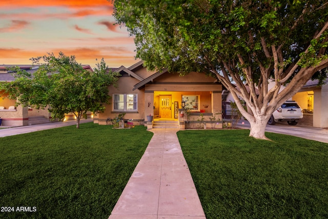 craftsman house featuring a yard