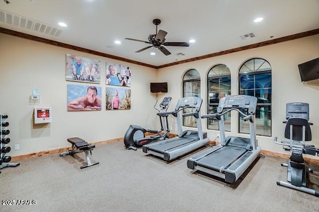 gym with ceiling fan, carpet, and ornamental molding