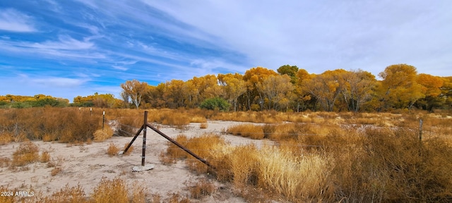 view of local wilderness