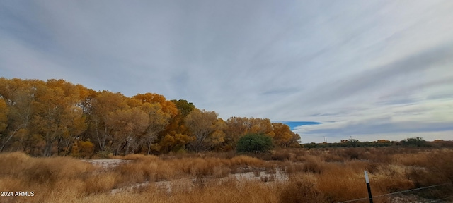 view of landscape