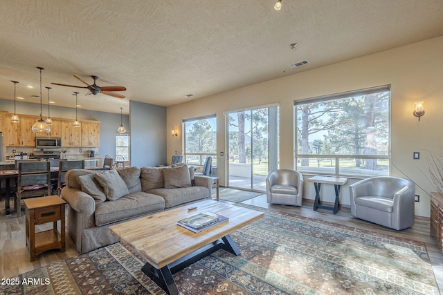 living room with hardwood / wood-style floors, a textured ceiling, and ceiling fan