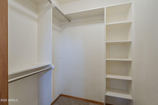 spacious closet featuring carpet floors