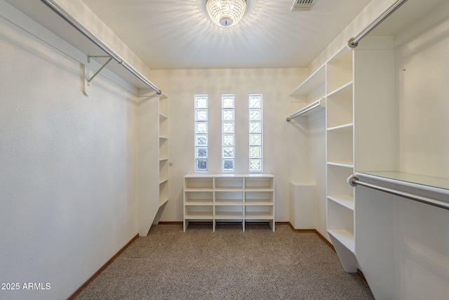 spacious closet with carpet flooring