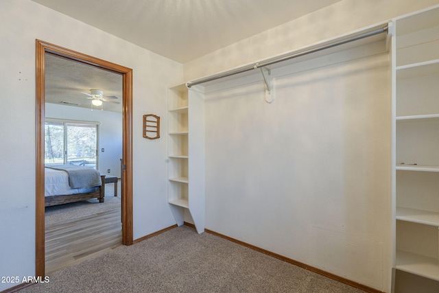 spacious closet featuring ceiling fan and carpet flooring