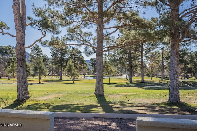 view of home's community featuring a yard