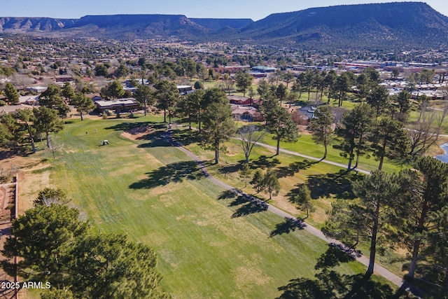 birds eye view of property featuring a mountain view