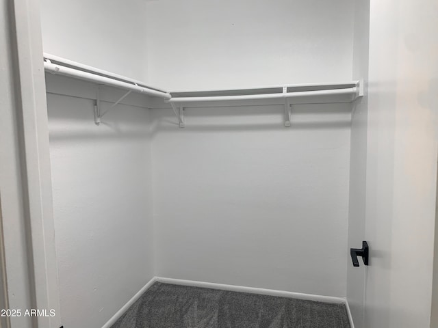 2155 W Farmdale Ave Unit 8, Mesa, AZ 85202 - spacious closet featuring carpet floors