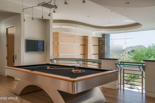 rec room with a raised ceiling, a wall of windows, and wood finished floors