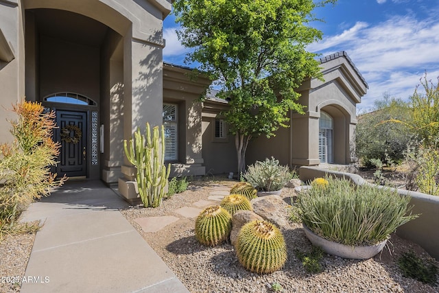 view of exterior entry with stucco siding
