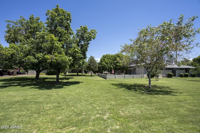 1107 W Osborn Rd Unit 213, Phoenix, AZ 85013 - view of yard