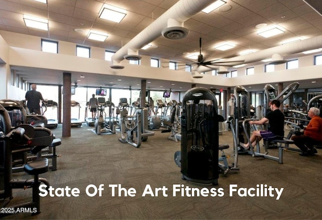 workout area with a towering ceiling, carpet, and plenty of natural light