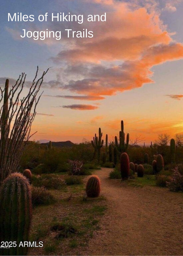 view of nature at dusk