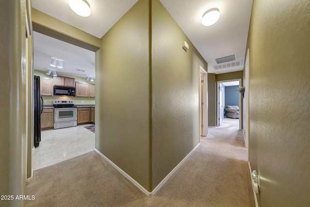1384 S 222nd Ln, Buckeye, AZ 85326 - corridor with light colored carpet and a textured wall