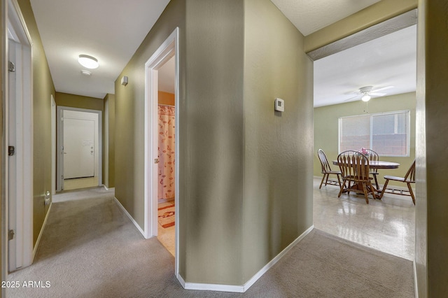 1384 S 222nd Ln, Buckeye, AZ 85326 - corridor with carpet floors